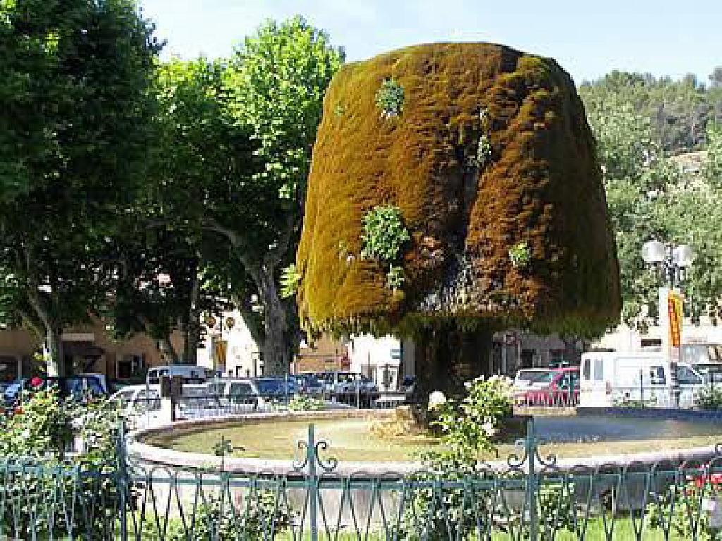 183 D32 BARJOLS_000010.jpg
